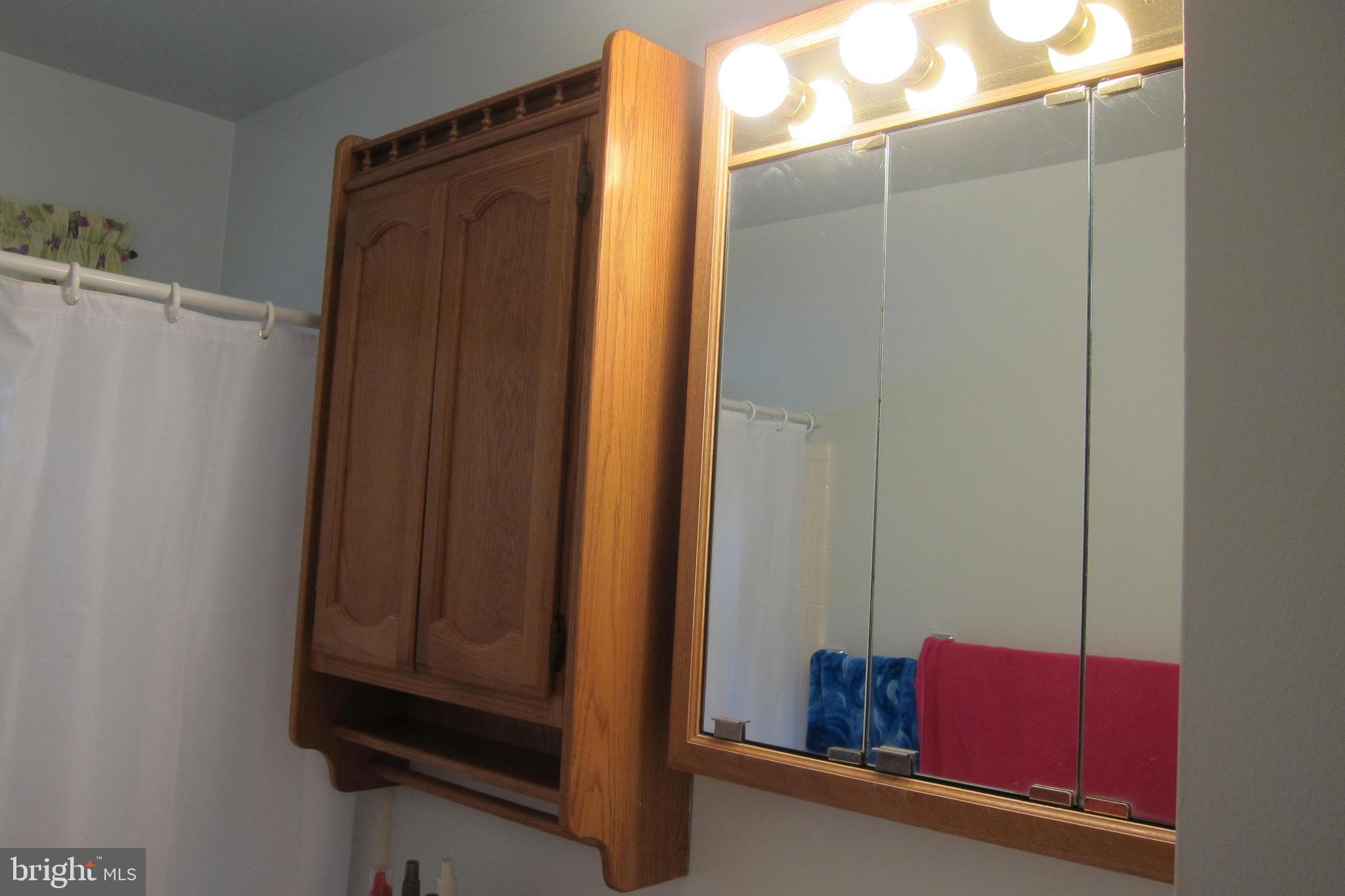 8225 Crown Court Road Alexandria, VA 22308 - Photo 27 of 57 Bath