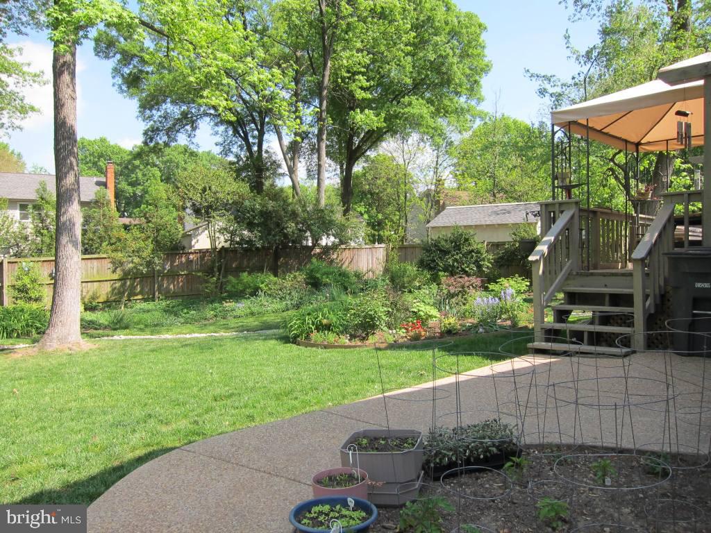 8225 Crown Court Road Alexandria, VA 22308 - Photo 31 of 57 Patio, deck and lovely back yard
