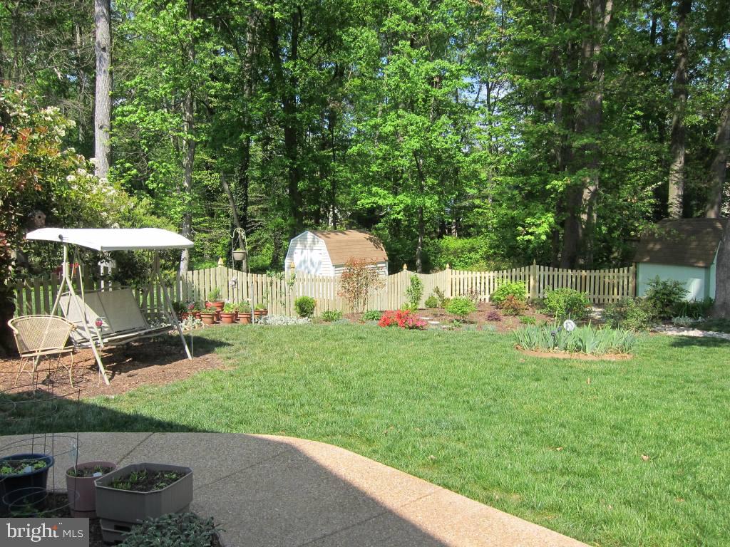 8225 Crown Court Road Alexandria, VA 22308 - Photo 33 of 57 Back yard with storage shed