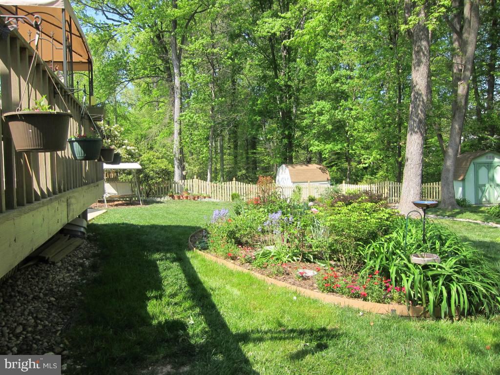 8225 Crown Court Road Alexandria, VA 22308 - Photo 37 of 57 Side view of yard with plantings