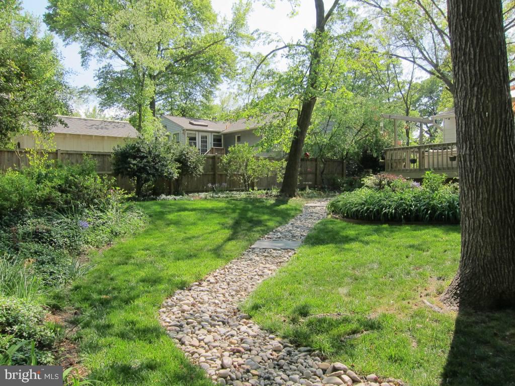 8225 Crown Court Road Alexandria, VA 22308 - Photo 41 of 57 Green, treed back yard