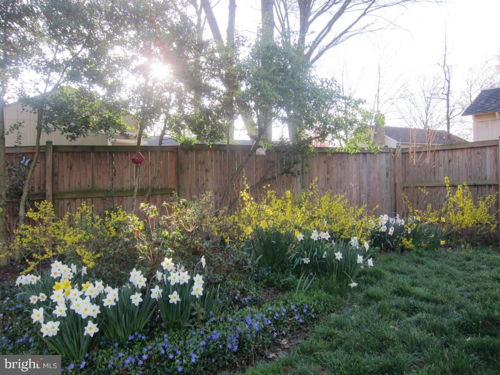 8225 Crown Court Road Alexandria, VA 22308 - Photo 42 of 57 Perennial plantings along fence