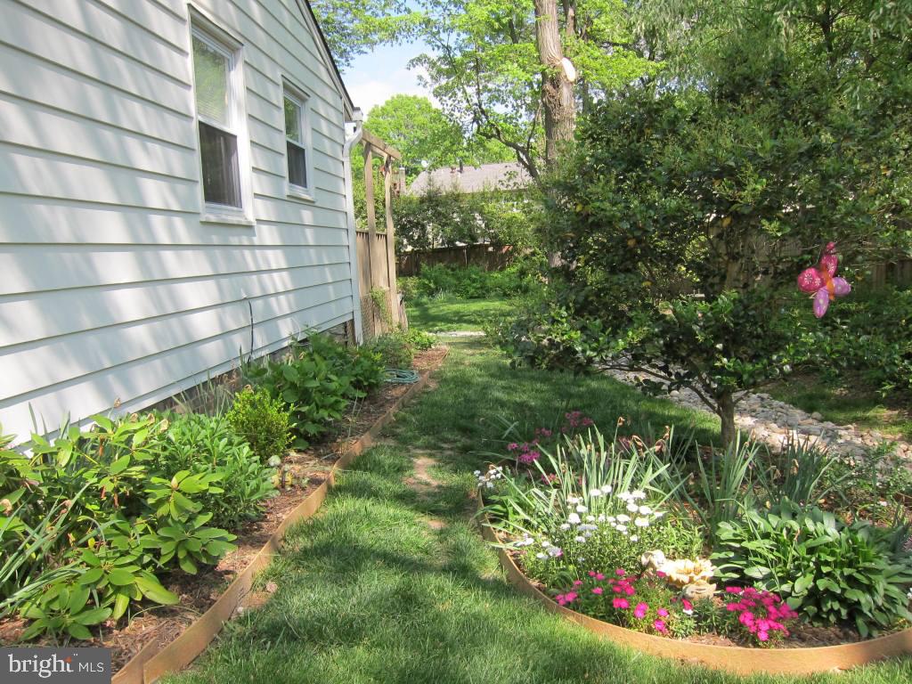 8225 Crown Court Road Alexandria, VA 22308 - Photo 49 of 57 Side view of plants