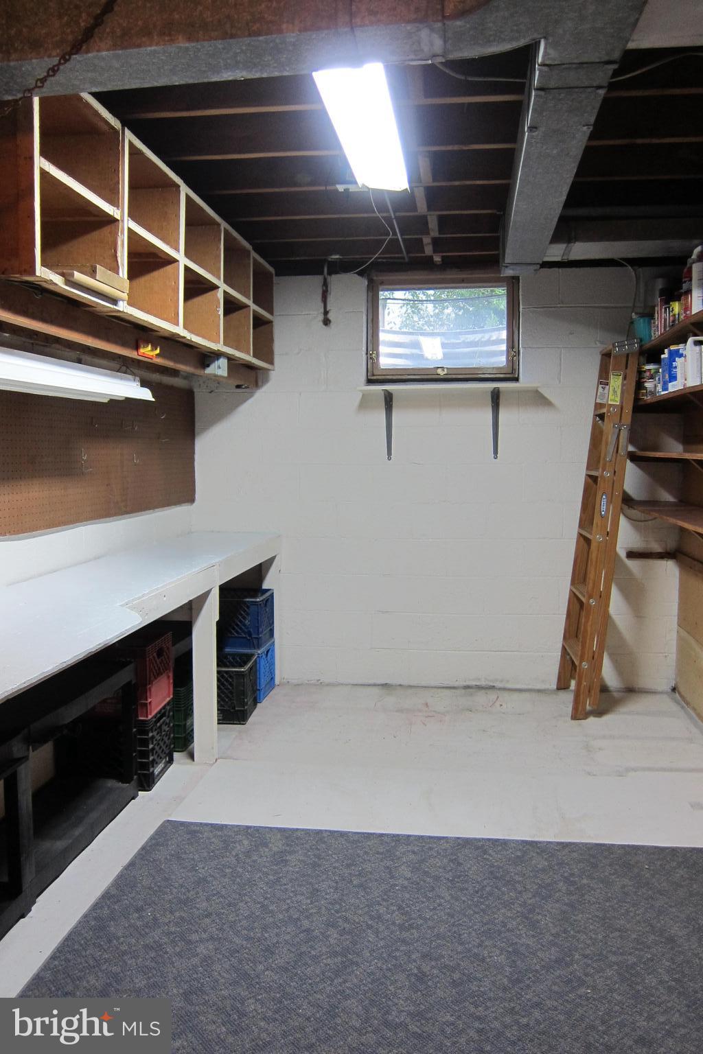 8225 Crown Court Road Alexandria, VA 22308 - Photo 56 of 57 Lower level workshopo