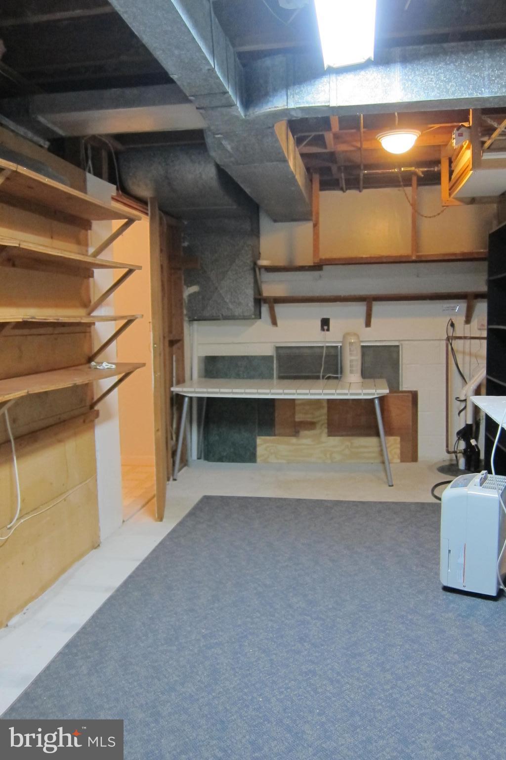 8225 Crown Court Road Alexandria, VA 22308 - Photo 57 of 57 Lower level workshop