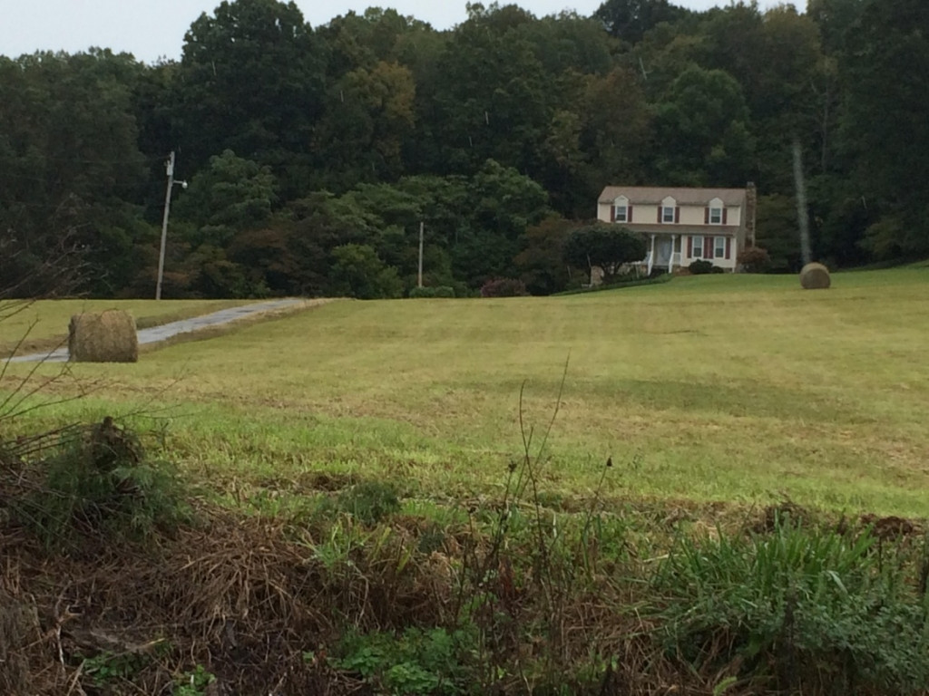 254 Buckingham Road Gray, TN 37615 - Photo 2 of 34 Photo 2