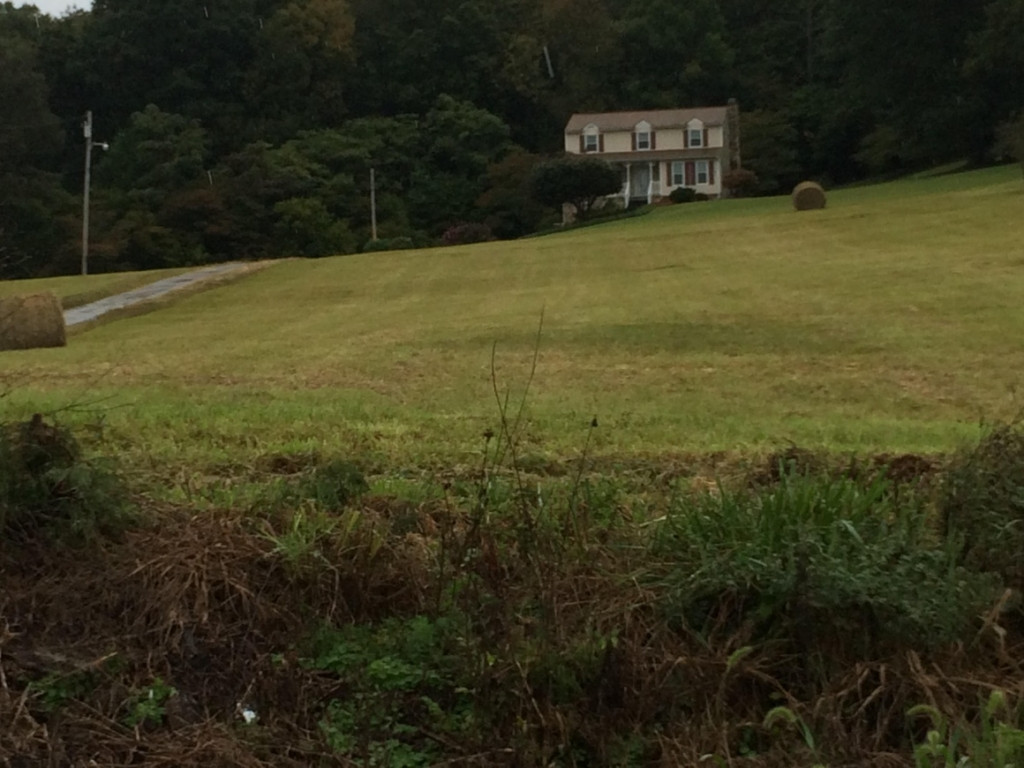 254 Buckingham Road Gray, TN 37615 - Photo 3 of 34 Photo 3