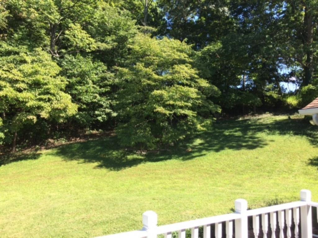 254 Buckingham Road Gray, TN 37615 - Photo 25 of 34 Photo 25