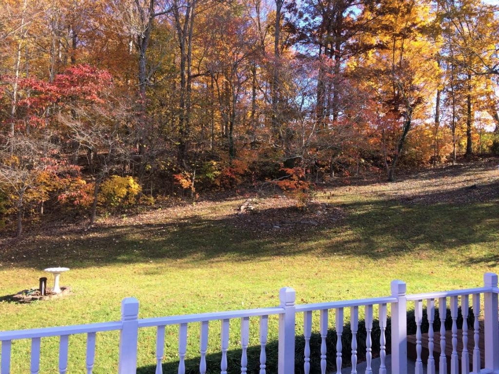 254 Buckingham Road Gray, TN 37615 - Photo 26 of 34 Photo 26