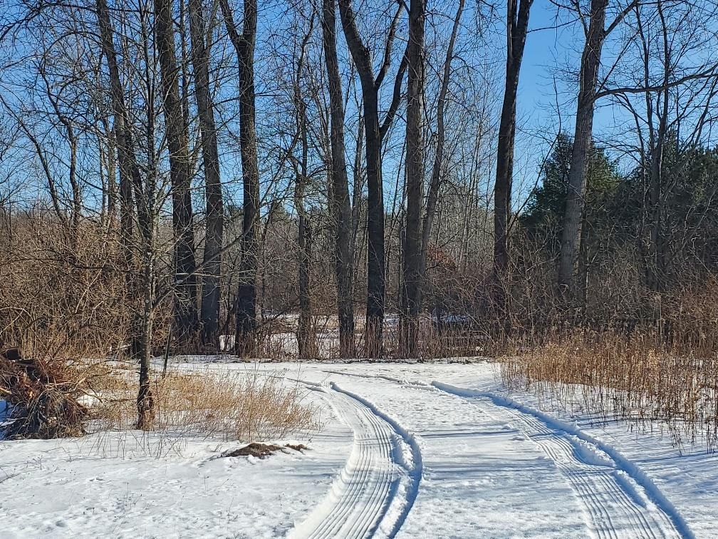 565 South Wise Road Mount Pleasant, MI 48858 - Photo 28 of 28 Gallery Image 28