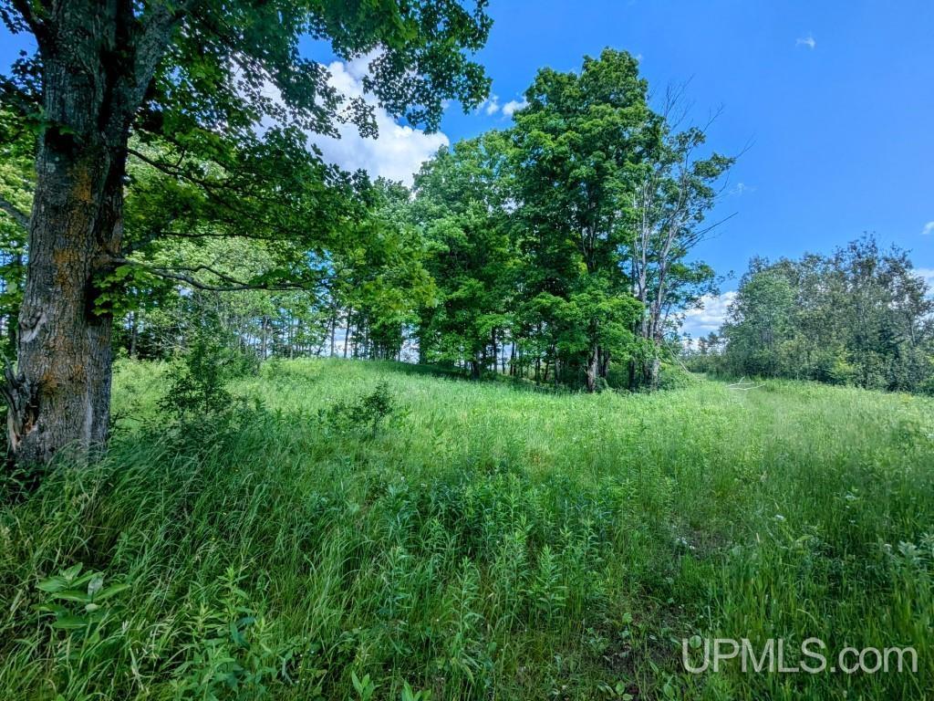 424 Rd Alpha Mi 49902 Road Alpha, MI 49902 - Photo 24 of 31