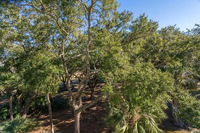 $265,000 | 279 Driftwood Lane, Edisto Beach, SC 29438