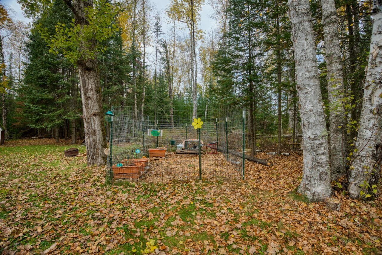 5462 Twin Lakes Loop 45 Aurora, MN 55705 - Photo 25 of 42 View of yard with a vegetable garden