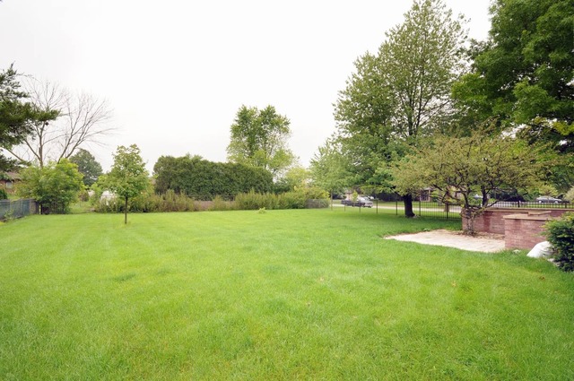 298 Mulberry Road Frankfort, IL 60423 - Photo 9 of 10 a view of a field of grass and trees