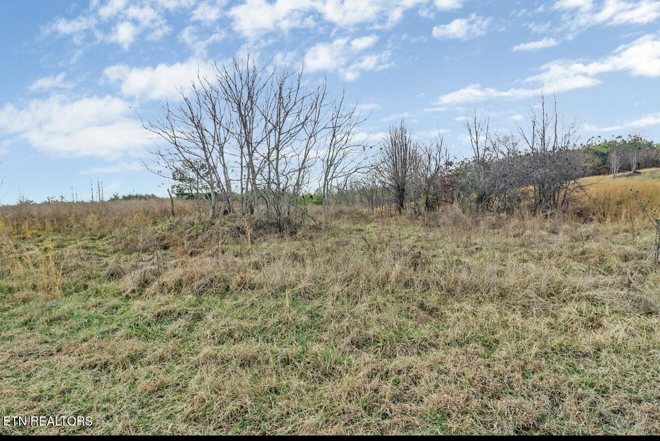 0 Tower Road Grandview, TN 37337 - Photo 13 of 14 IMG_0289