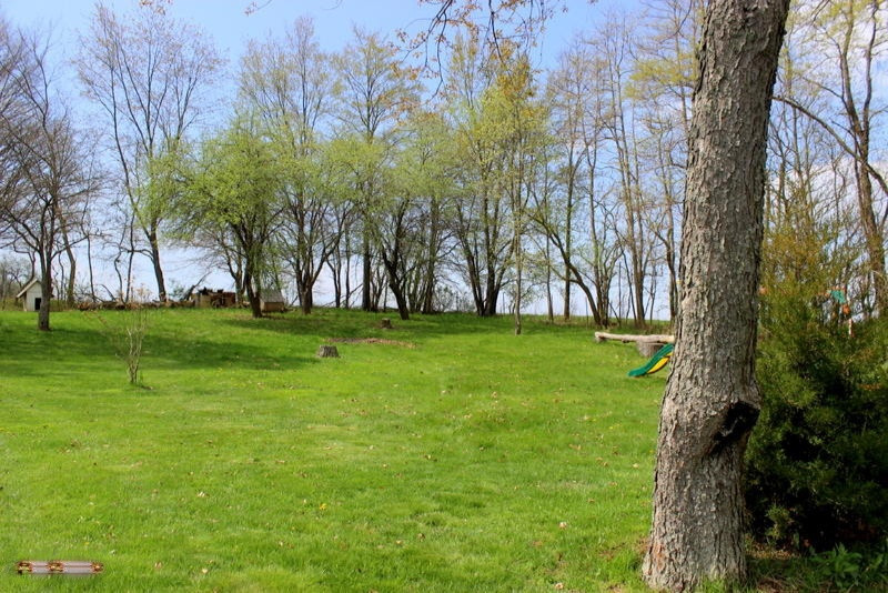 5960 North Allen Road Allen, MI 49227 - Photo 5 of 18 IMG_7218
