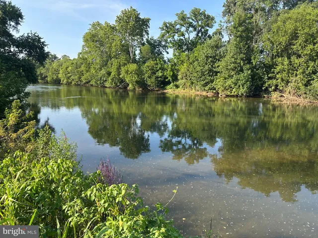 a view of a lake with a park