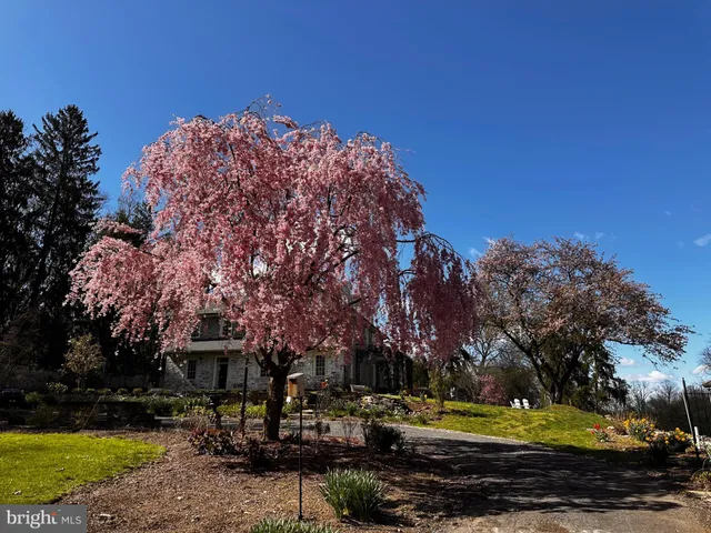 a view of a fountain in front of a house