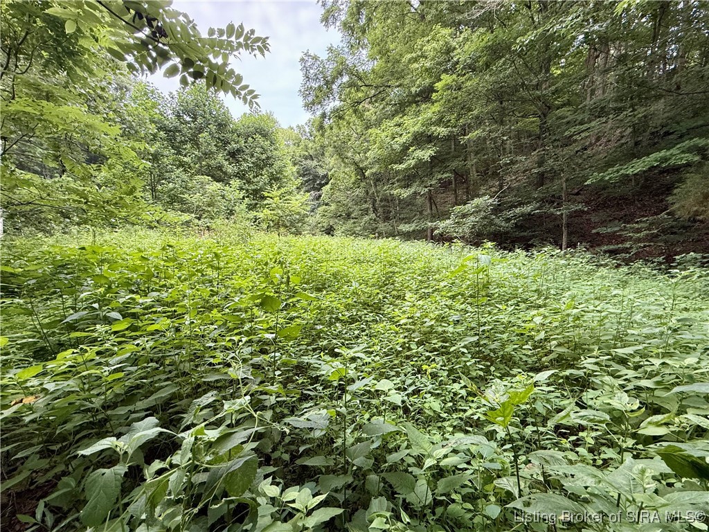 2032 West Goat Hollow Road Vallonia, IN 47281 - Photo 9 of 39