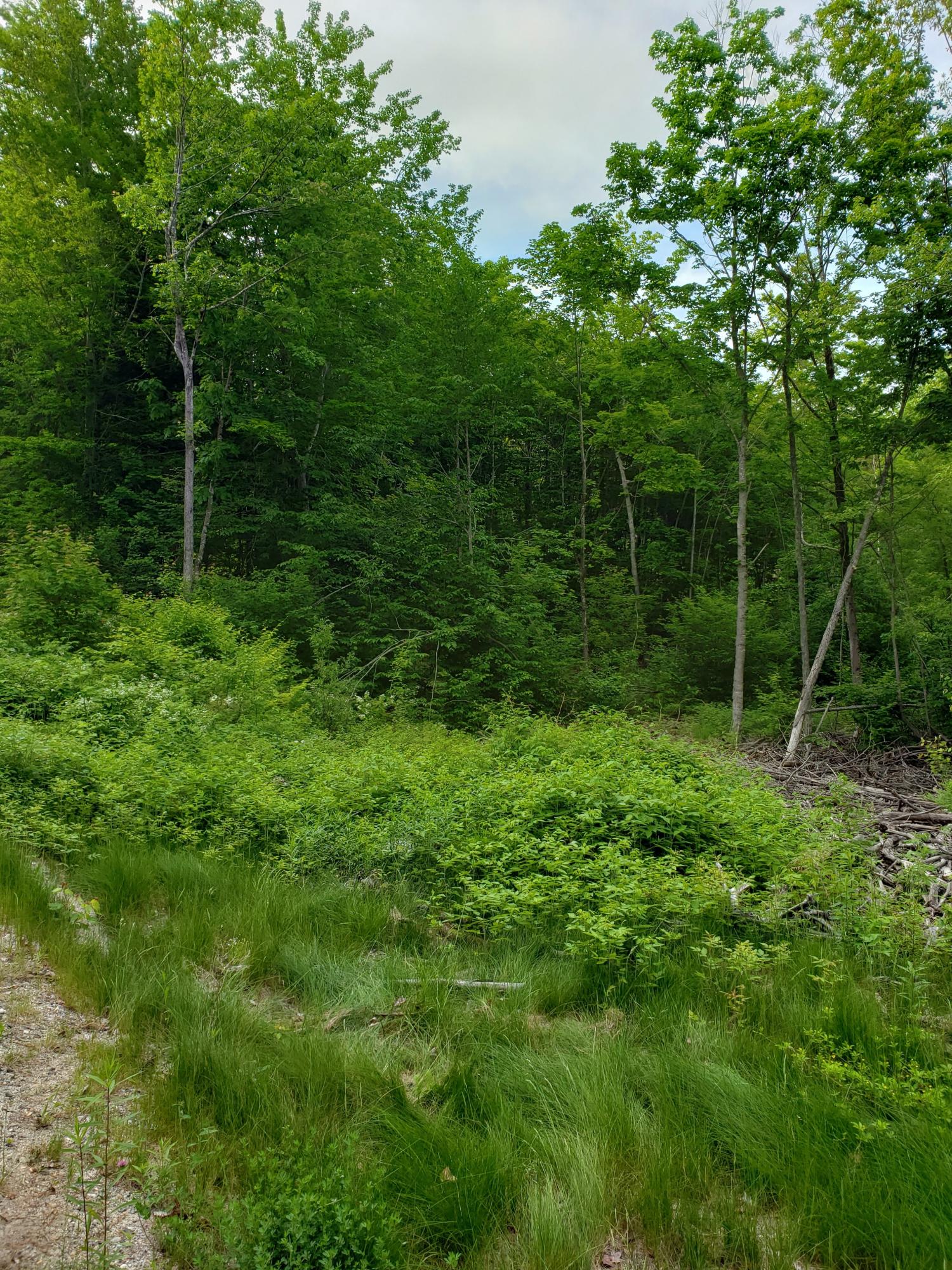 79 Beaver Pond Road Topsham, ME 04086 - Photo 1 of 2 1
