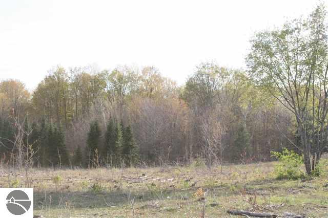 5670 Wallaker Road Benzonia, MI 49616 - Photo 12 of 26 Gallery Image 12