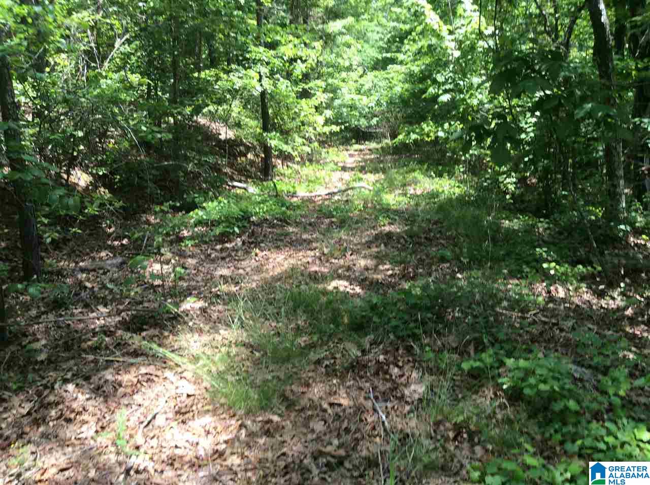 Hoyt Hill Road, Unit 1 Ashville, AL 35953 - Photo 11 of 13