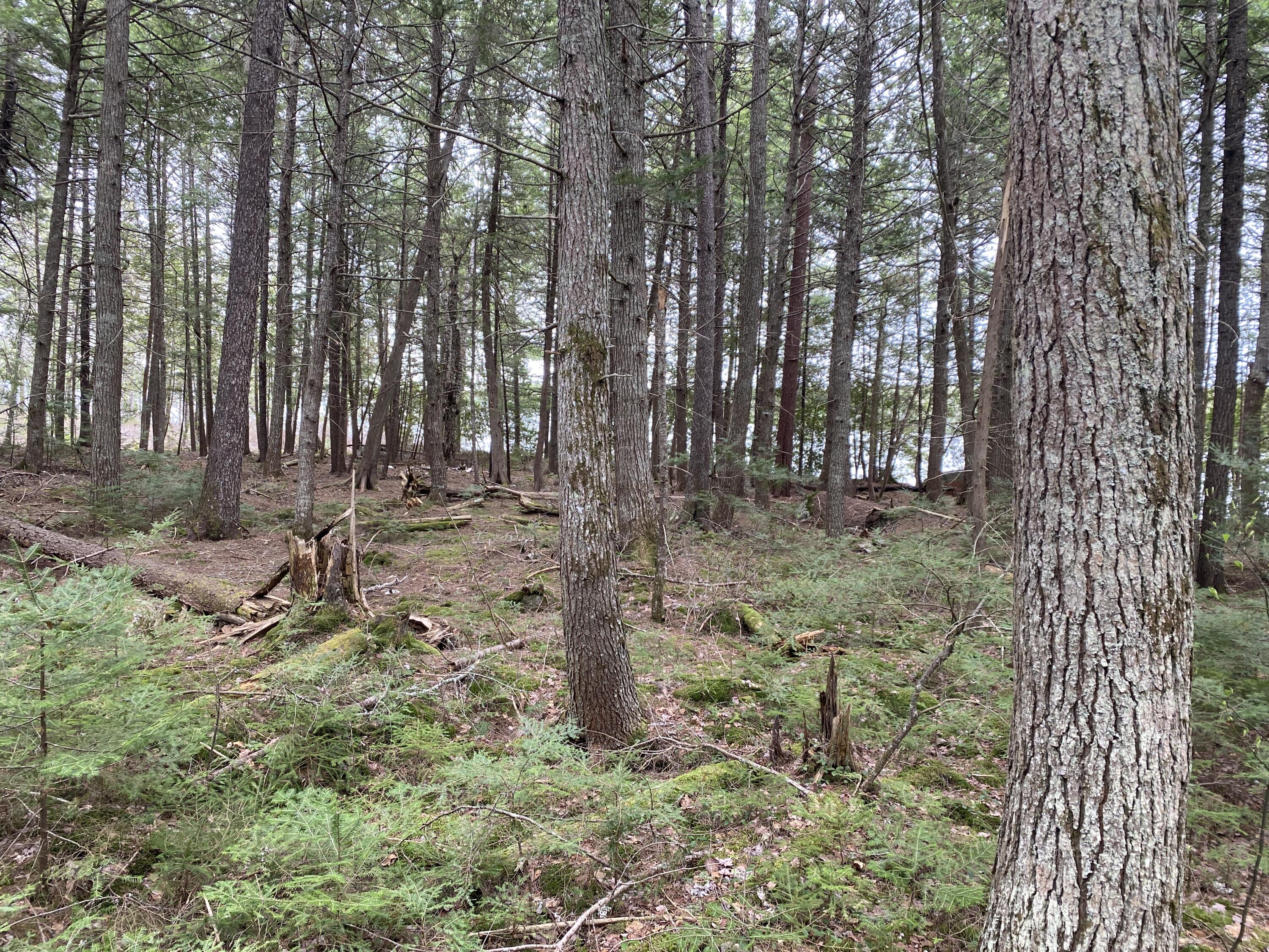 Tbd Depot Road Lakeville, ME 04487 - Photo 33 of 56