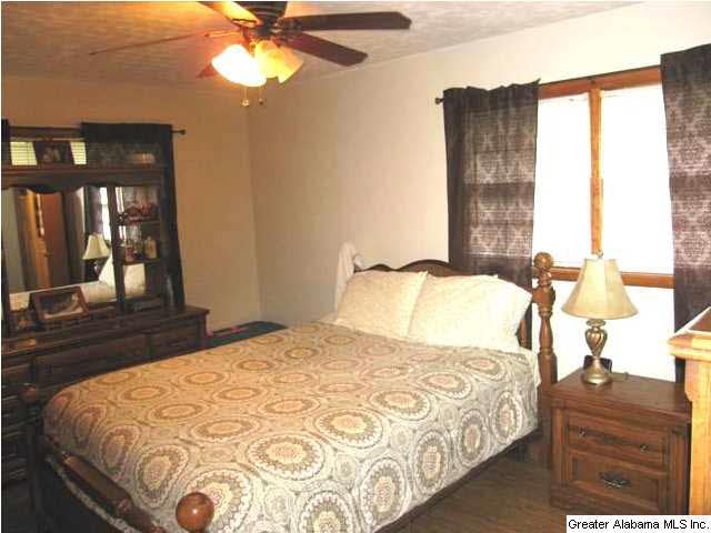 56 Brickstore Road Eastaboga, AL 36260 - Photo 17 of 27