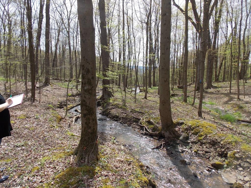 . Weldon Lane Tyrone, PA 16686 - Photo 3 of 6 Gallery Image 3