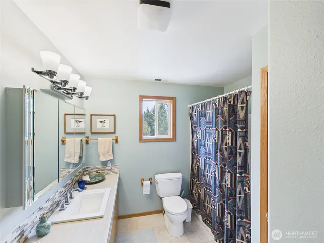 a bathroom with a sink a toilet and shower curtain