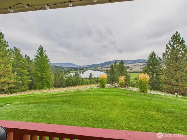 a view of a park with large trees
