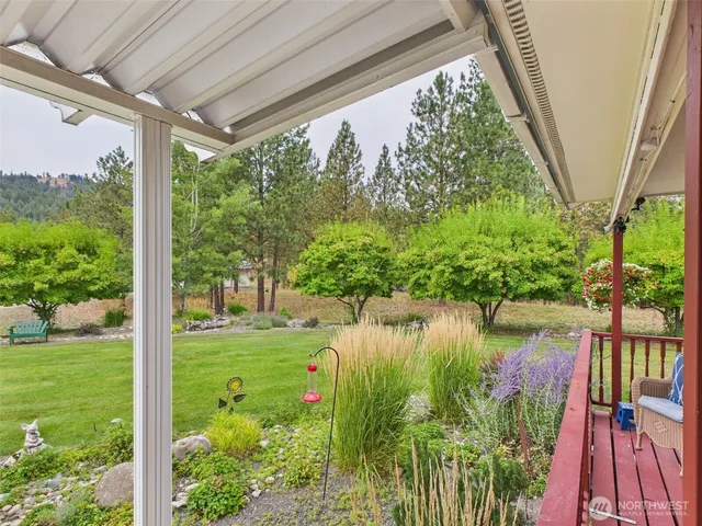 a view of a back yard from a tub