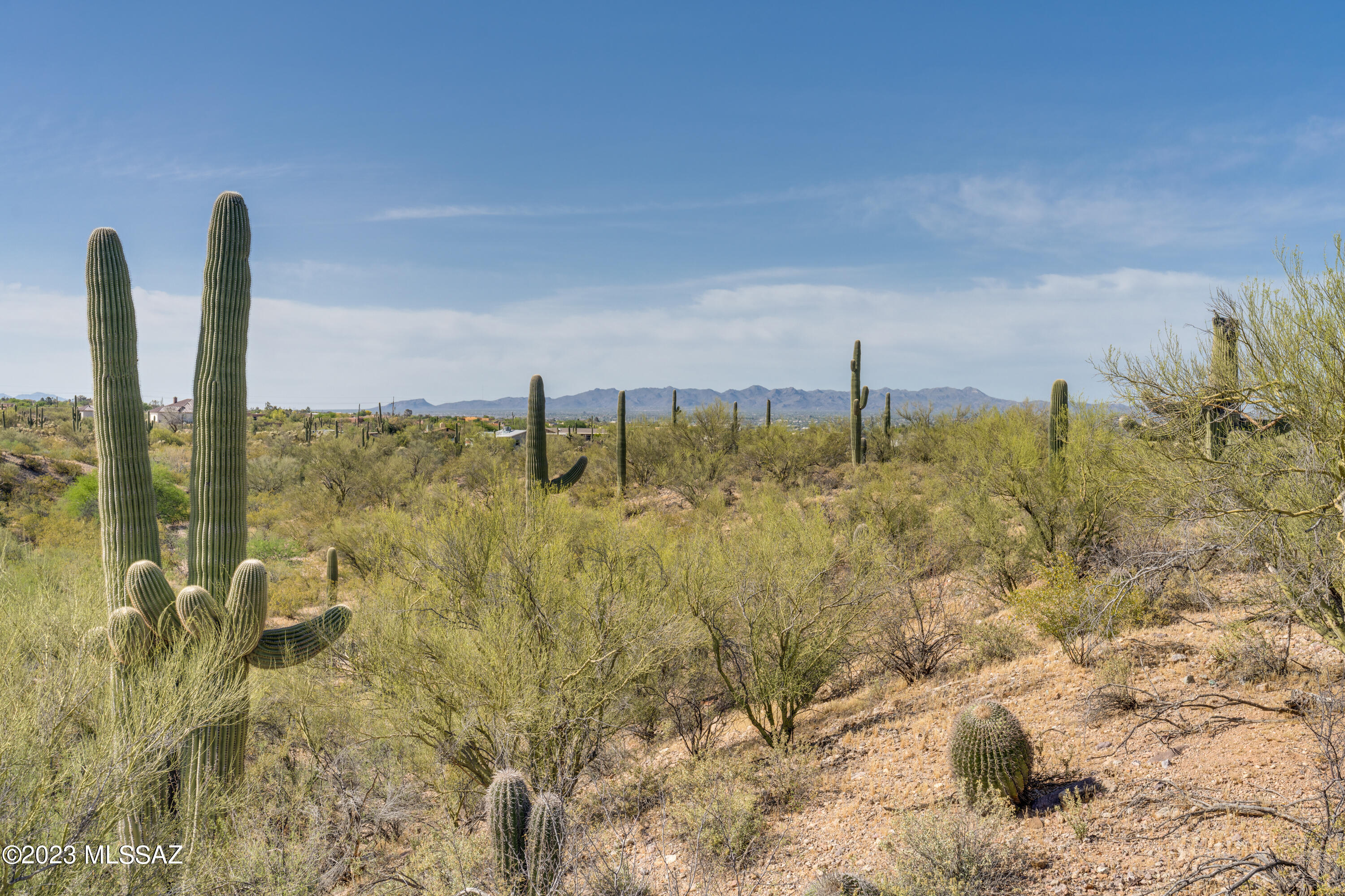 Tbd West Goret Road Tucson, AZ 85745 - Photo 8 of 17