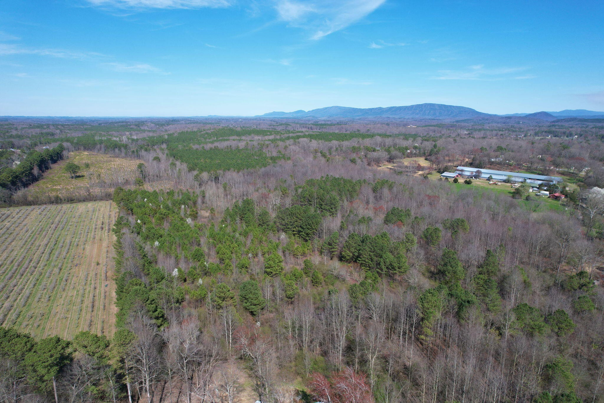 0 Southeast Branam Road Old Fort, TN 37362 - Photo 13 of 17 Gallery Image 13