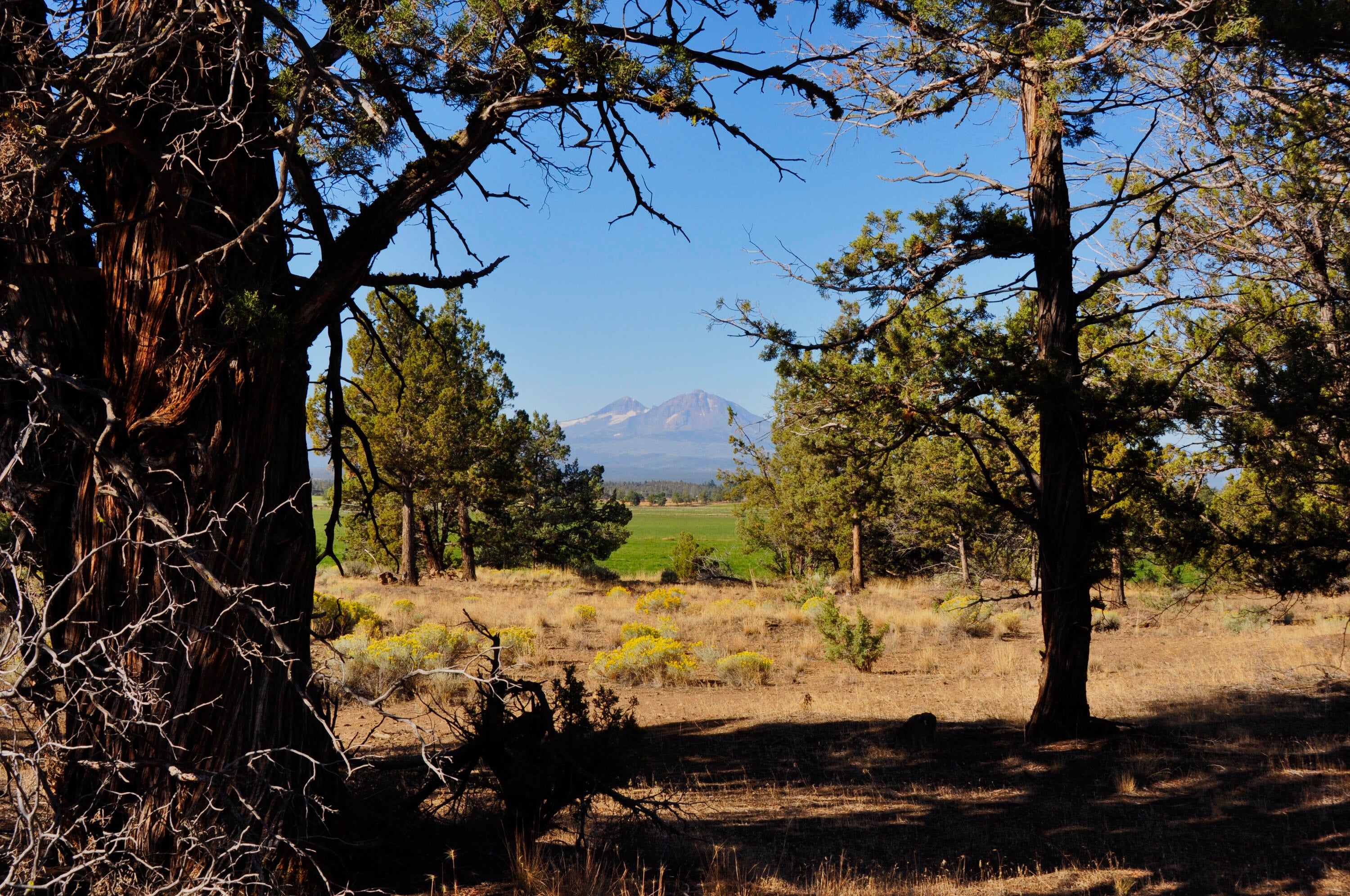 68755 Fryrear Road Sisters, OR 97759 - Photo 21 of 30 _DSC0640_AF
