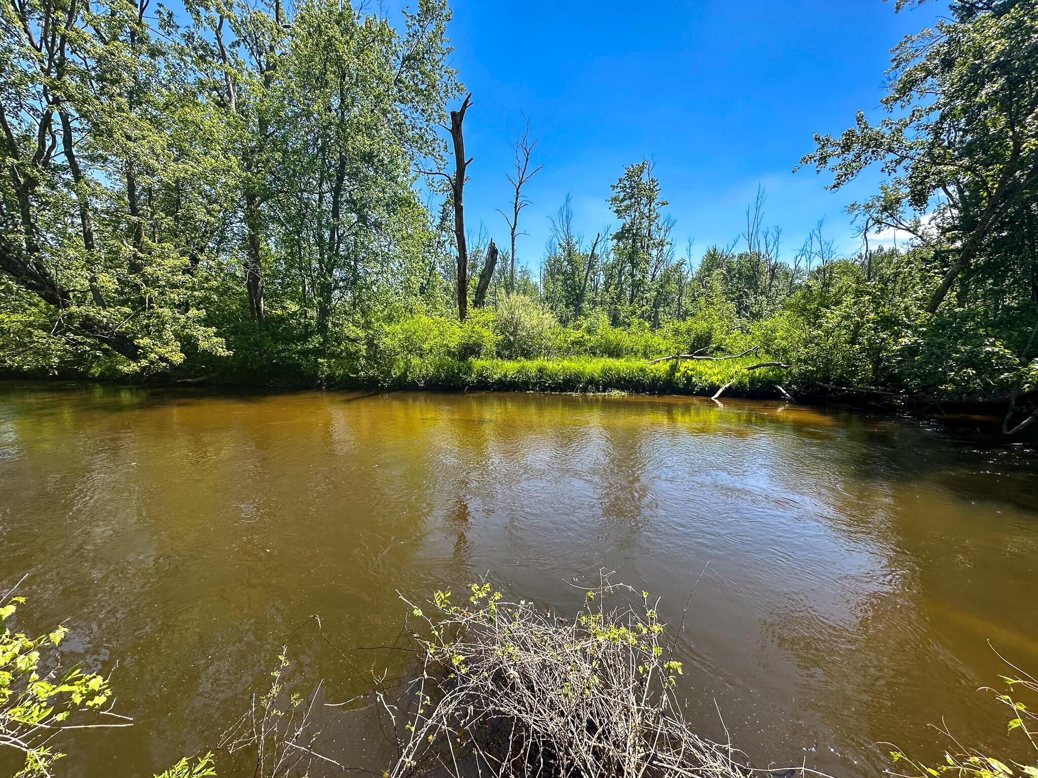 3804 East Wilson Road Custer, MI 49405 - Photo 4 of 39 River Straight