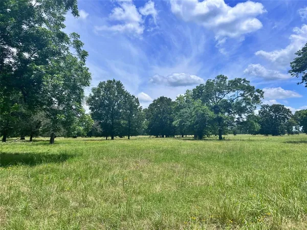 a grassy field with trees in the background