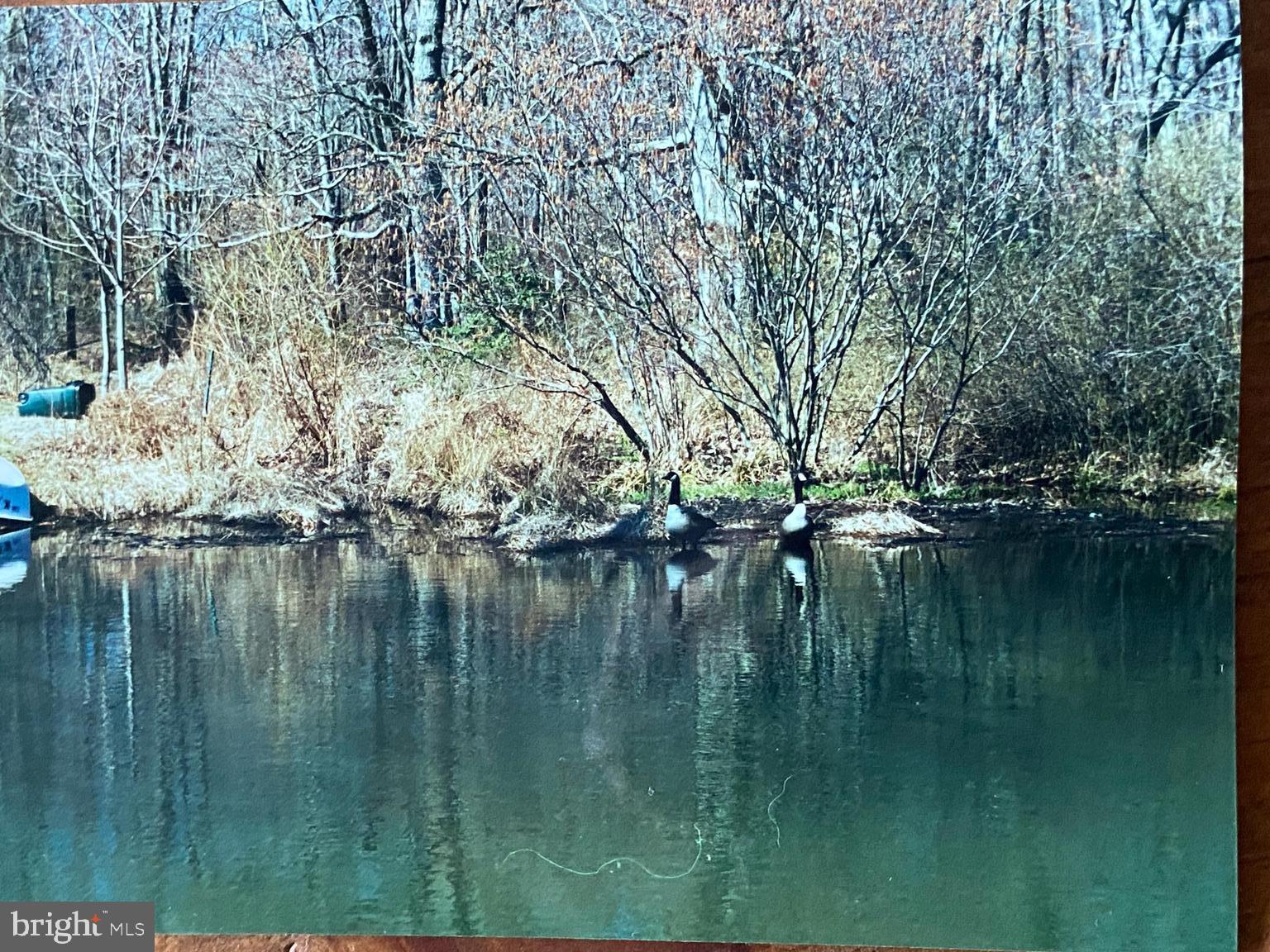 11512 Sherwood Road Upper Falls, MD 21156 - Photo 2 of 3 Pond in its former glory right side of home