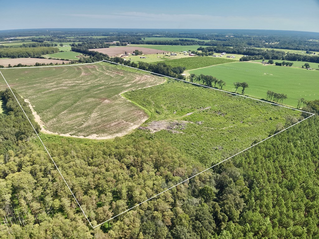 73-acres Shiver Road Daleville, AL 36322 - Photo 13 of 14