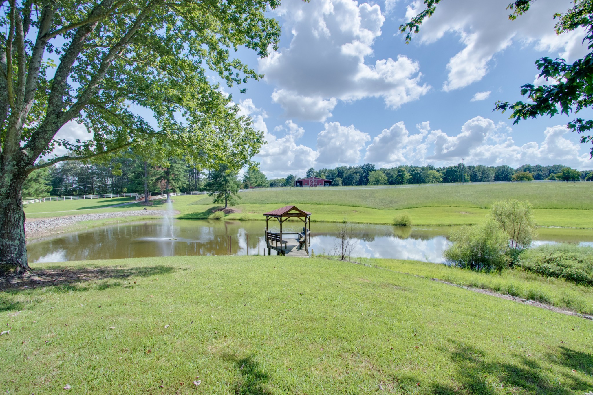 a view of a lake with a yard and large trees