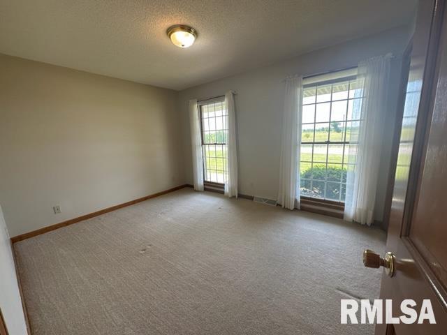 9937 East Loami Road Loami, IL 62661 - Photo 24 of 57