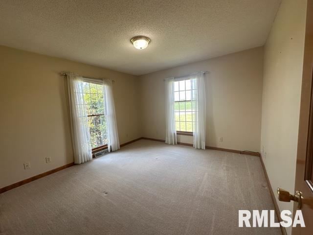 9937 East Loami Road Loami, IL 62661 - Photo 27 of 57