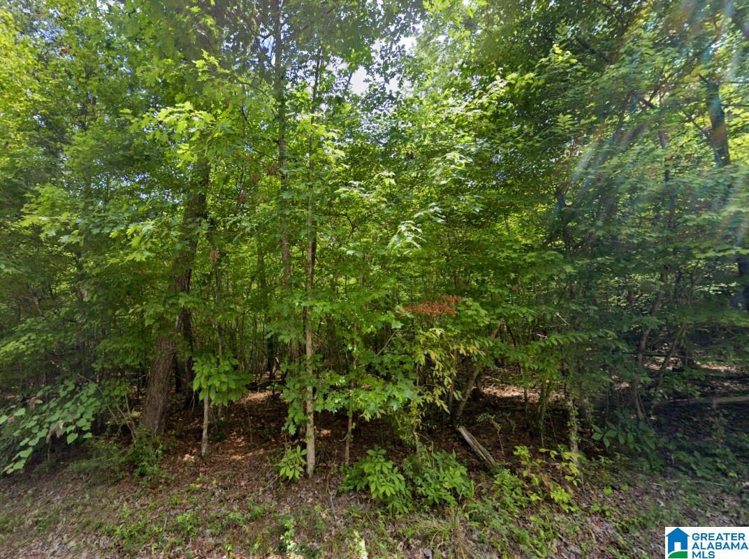 Highland Street Gadsden, AL 35905 - Photo 1 of 8
