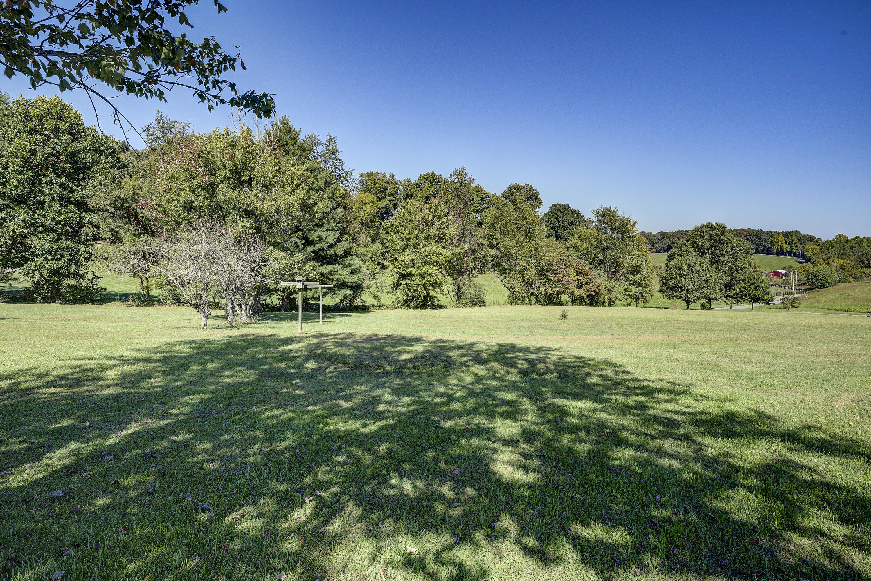 140 Brobeck Road Limestone, TN 37681 - Photo 6 of 15 Mature Trees and landscape Brobeck-41