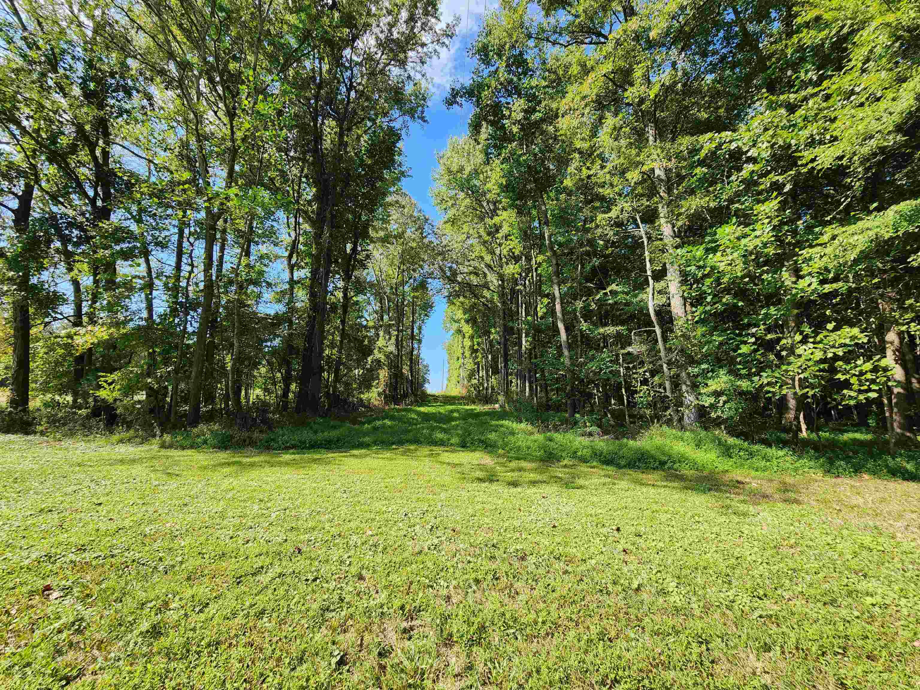 1611 Bowers Store Road Siler City, NC 27344 - Photo 4 of 13 Photo 4