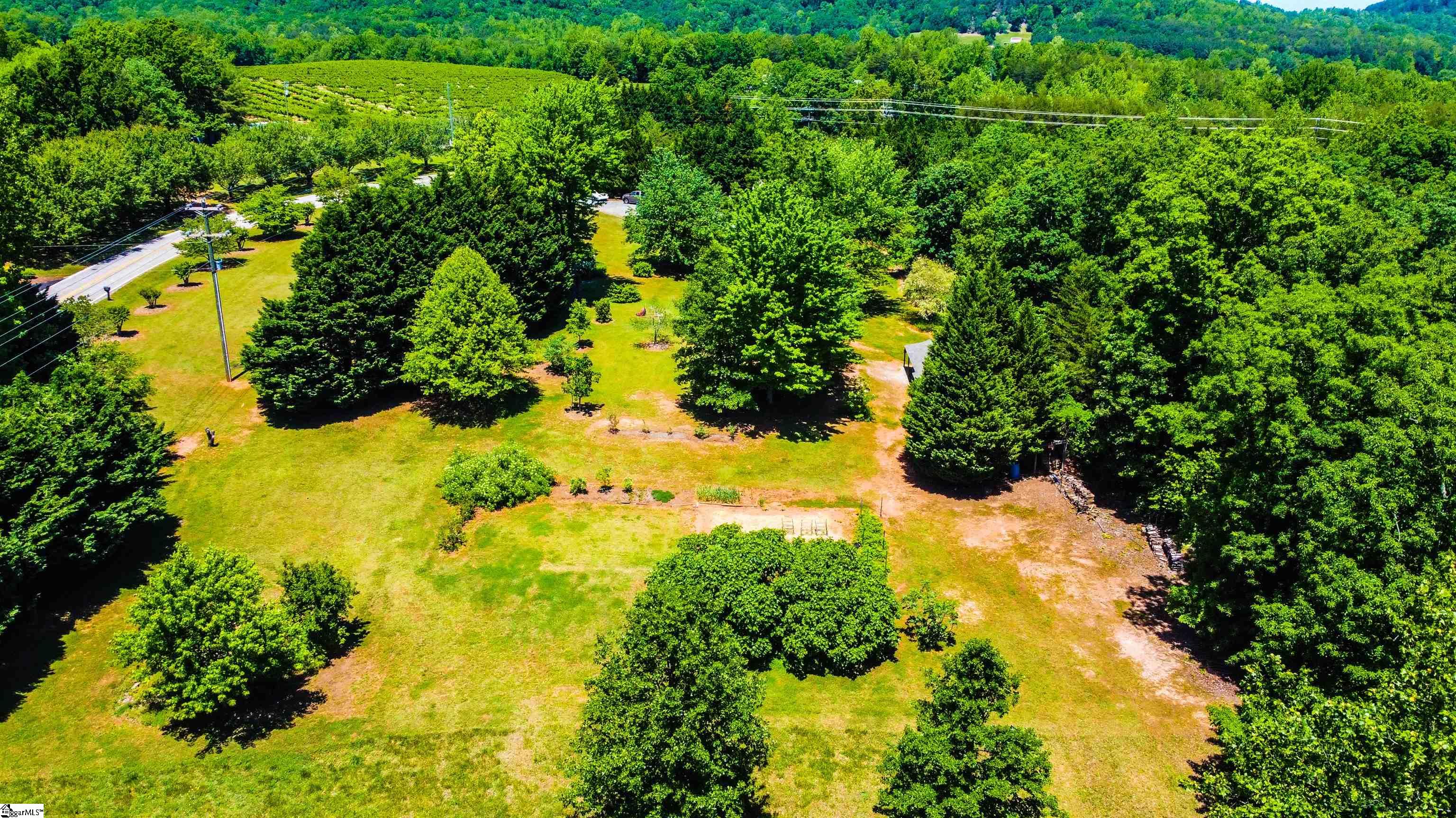 1109 Oak Grove Road Landrum, SC 29356 - Photo 18 of 36