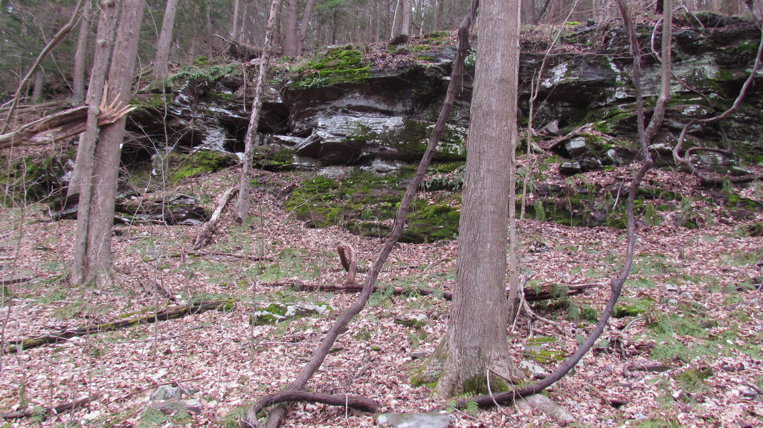 Mountain Rd Road Shickshinny, PA 18655 - Photo 4 of 27