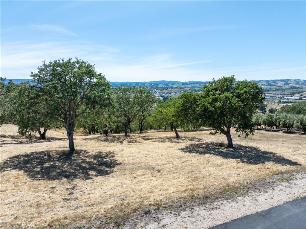 2255 Battering Rock Road Templeton, CA 93465 - Photo 6 of 27 a view of a yard with a tree
