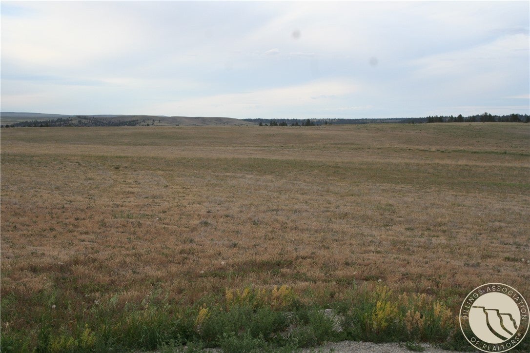 0 Joliet Road Columbus, MT 59019 - Photo 9 of 19 Gallery Image 9