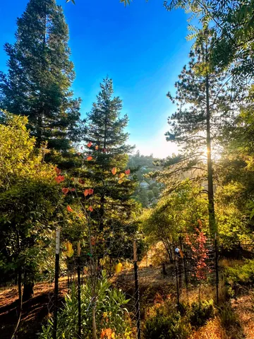 $2,950 | 820 Blue Bell Court, Placerville, CA 95667